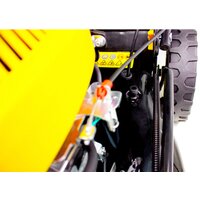 Champion LM5345 Image #2