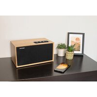 Беспроводная колонка Thomson WS502 - Превью изображения №5 — Интернет-магазин Teono.by