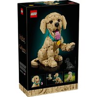 Конструктор LEGO Icons 11384 Щенок золотистого ретривера - Превью изображения №18 — Интернет-магазин Teono.by