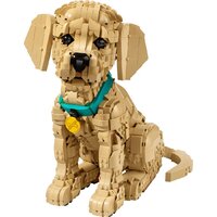 Конструктор LEGO Icons 11384 Щенок золотистого ретривера - Превью изображения №2 — Интернет-магазин Teono.by