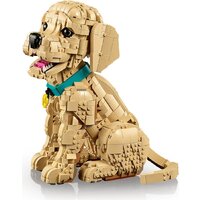 Конструктор LEGO Icons 11384 Щенок золотистого ретривера - Превью изображения №7 — Интернет-магазин Teono.by