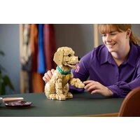 Конструктор LEGO Icons 11384 Щенок золотистого ретривера - Превью изображения №10 — Интернет-магазин Teono.by