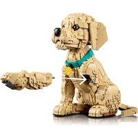 Конструктор LEGO Icons 11384 Щенок золотистого ретривера - Превью изображения №6 — Интернет-магазин Teono.by