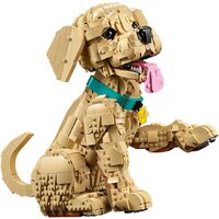 Конструктор LEGO Icons 11384 Щенок золотистого ретривера - Превью изображения №3 — Интернет-магазин Teono.by