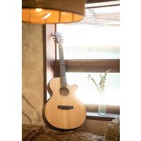 Cort SFX-E NS Image #2