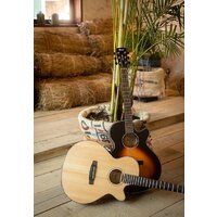 Cort SFX-E NS Image #4