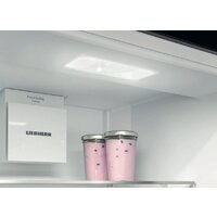 Холодильник Liebherr CNsfd 5204 Pure - Превью изображения №19 — Интернет-магазин Teono.by