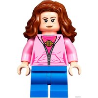 LEGO Harry Potter 75947 Хижина Хагрида: спасение Клювокрыла Image #10