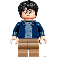LEGO Harry Potter 75947 Хижина Хагрида: спасение Клювокрыла Image #14