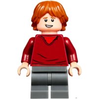 LEGO Harry Potter 75947 Хижина Хагрида: спасение Клювокрыла Image #13