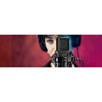 Lewitt LCT 640 TS Image #9