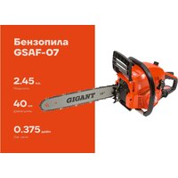 Gigant GSAF-07