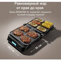 Redmond (Редмонд) SteakMaster GM306 Image #5