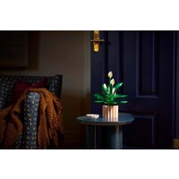 LEGO The Botanical Collection 11504 Мирная лилия Image #10