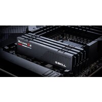 Оперативная память G.Skill Ripjaws S5 2x48ГБ DDR5 5600 МГц F5-5600J4040D48GX2-RS5K - Превью изображения №6 — Интернет-магазин Teono.by
