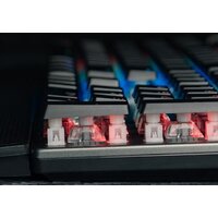 Клавиатура Genesis Thor 400 RGB (нет кириллицы) - Превью изображения №12 — Интернет-магазин Teono.by