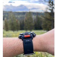 Casio Pro Trek PRG-340-1E Image #4