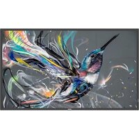 Philips 55BDL3511Q/00