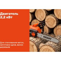 Электрическая пила Gigant GSAF-12 - Превью изображения №17 — Интернет-магазин Teono.by