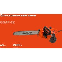 Gigant GSAF-12