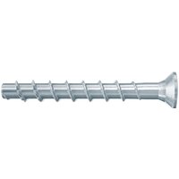 Fischer FBS II 546386 (100 шт)