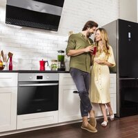 Hansa BOEI684621 Image #10