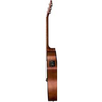 Baton Rouge AR21C/ACE-L Image #3