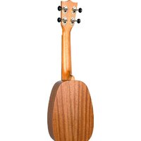 Flight NUP310 Pineapple Image #3