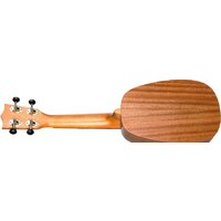 Flight NUP310 Pineapple Image #6