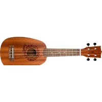 Flight NUP310 Pineapple Image #5