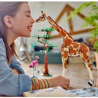 LEGO Creator 31150 Дикие животные сафари Image #9