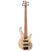 Cort B5 Element OPN