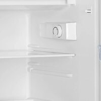 Однокамерный холодильник Gorenje RB492PW - Превью изображения №5 — Интернет-магазин Teono.by