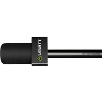 Lewitt Interviewer Image #4