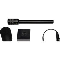 Lewitt Interviewer Image #5