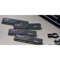 G.Skill Ripjaws S5 2x48ГБ DDR5 6000 МГц F5-6000J3036F48GX2-RS5K Image #5