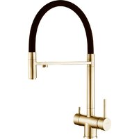 ZorG Asgard Premium PVD (gold)