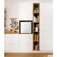 Мини-холодильник Gorenje R44E4W4 - Превью изображения №4 — Интернет-магазин Teono.by
