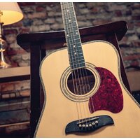 Oscar Schmidt OG2N Image #4