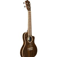 Lanikai FB-CETC Image #2