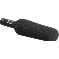 Audio-Technica AT875R