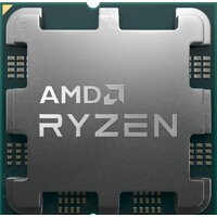 AMD Ryzen 5 9600