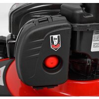 Hecht 546 BSW Image #4