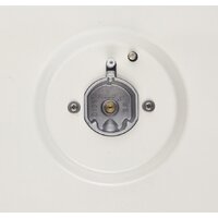 Konigin Blaze 604 IVW Image #8