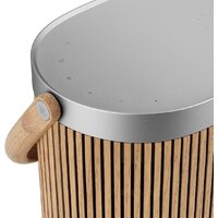 Беспроводная аудиосистема Bang & Olufsen BeoSound A5 (oak) - Превью изображения №8 — Интернет-магазин Teono.by