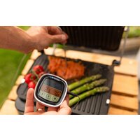 Blaupunkt GRS901 Image #3