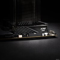 Оперативная память ADATA XPG Lancer Blade 16ГБ DDR5 6000 МГц AX5U6000C4816G-SLABBK - Превью изображения №3 — Интернет-магазин Teono.by