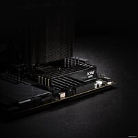 Оперативная память ADATA XPG Lancer Blade 16ГБ DDR5 6000 МГц AX5U6000C4816G-SLABBK - Превью изображения №5 — Интернет-магазин Teono.by