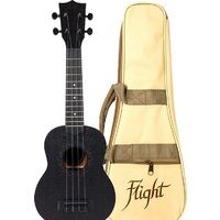 Flight NUS310 Blackbird