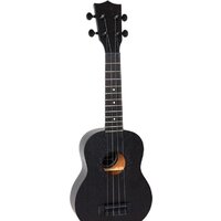 Flight NUS310 Blackbird Image #2